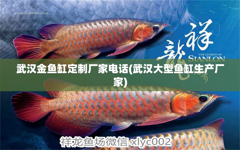 武漢金魚(yú)缸定制廠家電話(武漢大型魚(yú)缸生產(chǎn)廠家)