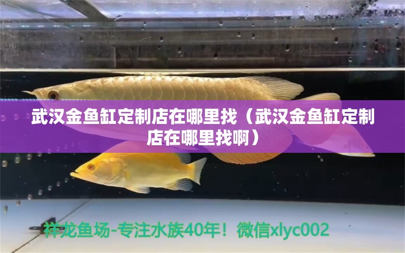 武漢金魚缸定制店在哪里找（武漢金魚缸定制店在哪里找啊）