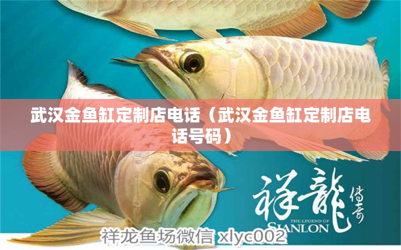 武漢金魚缸定制店電話（武漢金魚缸定制店電話號碼） 祥龍水族醫(yī)院