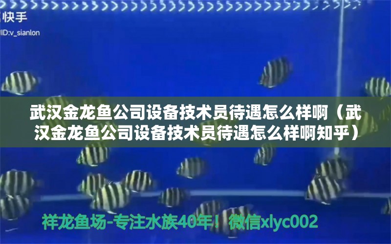 武漢金龍魚公司設(shè)備技術(shù)員待遇怎么樣啊（武漢金龍魚公司設(shè)備技術(shù)員待遇怎么樣啊知乎）