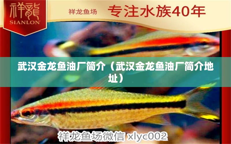 武漢金龍魚油廠簡介（武漢金龍魚油廠簡介地址）