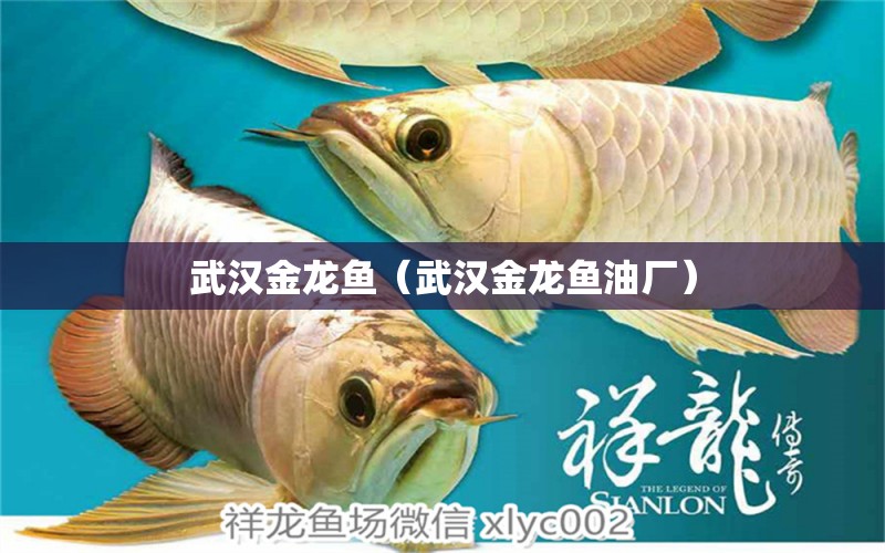 武漢金龍魚（武漢金龍魚油廠）