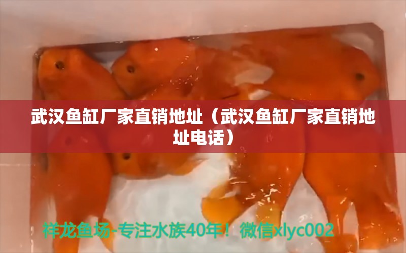 武漢魚缸廠家直銷地址（武漢魚缸廠家直銷地址電話） 其他品牌魚缸