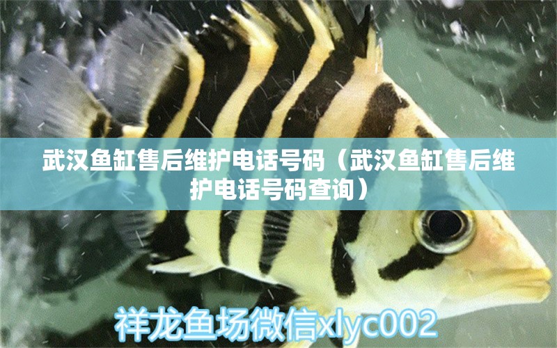 武漢魚缸售后維護電話號碼（武漢魚缸售后維護電話號碼查詢）