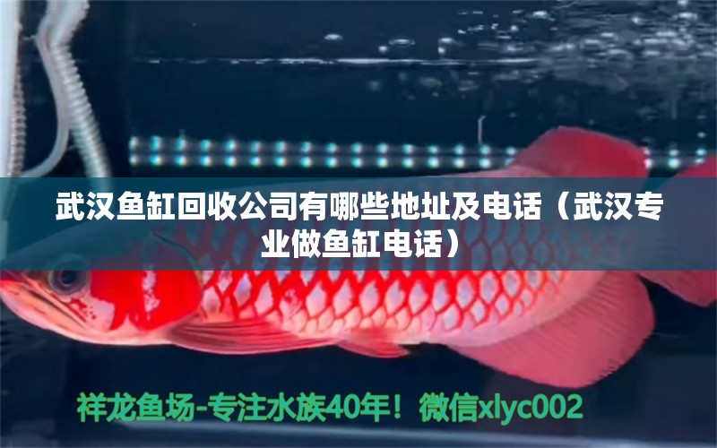 武漢魚缸回收公司有哪些地址及電話（武漢專業(yè)做魚缸電話）