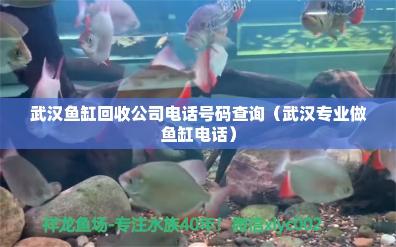 武漢魚缸回收公司電話號碼查詢（武漢專業(yè)做魚缸電話）