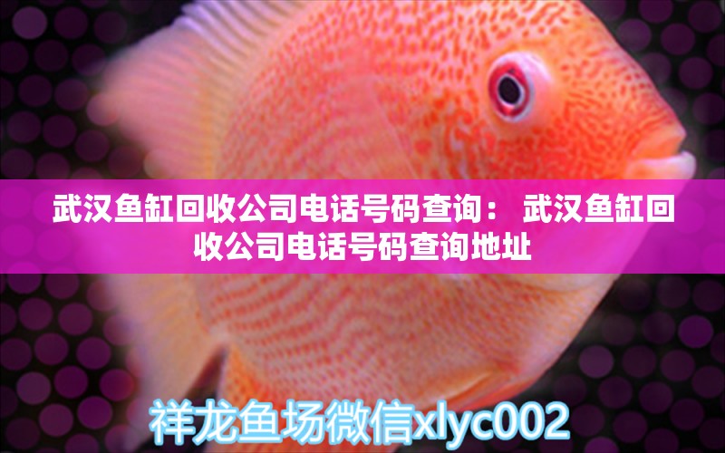 武漢魚(yú)缸回收公司電話號(hào)碼查詢： 武漢魚(yú)缸回收公司電話號(hào)碼查詢地址 細(xì)線銀板魚(yú)苗