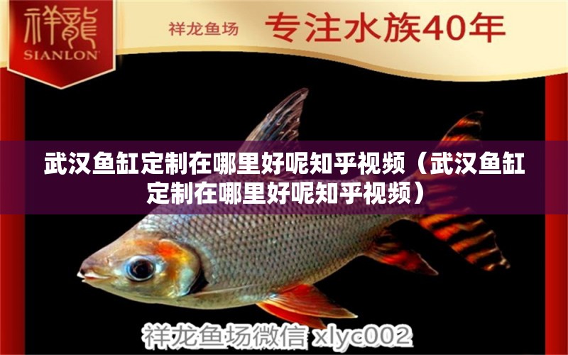 武漢魚缸定制在哪里好呢知乎視頻（武漢魚缸定制在哪里好呢知乎視頻） 祥龍魚場