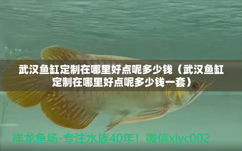 武漢魚缸定制在哪里好點(diǎn)呢多少錢（武漢魚缸定制在哪里好點(diǎn)呢多少錢一套） 網(wǎng)上購買觀賞魚