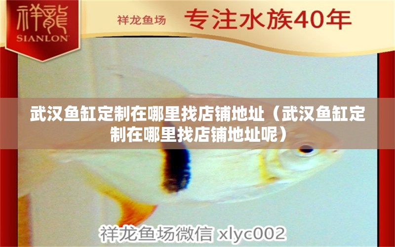 武漢魚缸定制在哪里找店鋪地址（武漢魚缸定制在哪里找店鋪地址呢） 網(wǎng)上購買觀賞魚