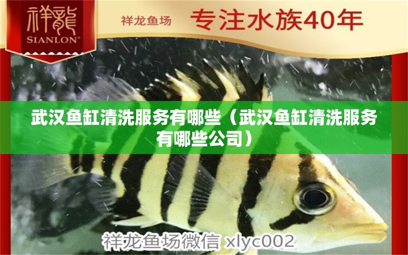 武漢魚缸清洗服務(wù)有哪些（武漢魚缸清洗服務(wù)有哪些公司）