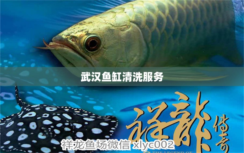 武漢魚缸清洗服務 其他品牌魚缸