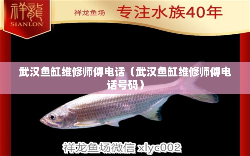 武漢魚缸維修師傅電話（武漢魚缸維修師傅電話號碼） 其他品牌魚缸