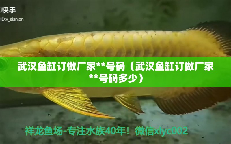 武漢魚缸訂做廠家**號碼（武漢魚缸訂做廠家**號碼多少）