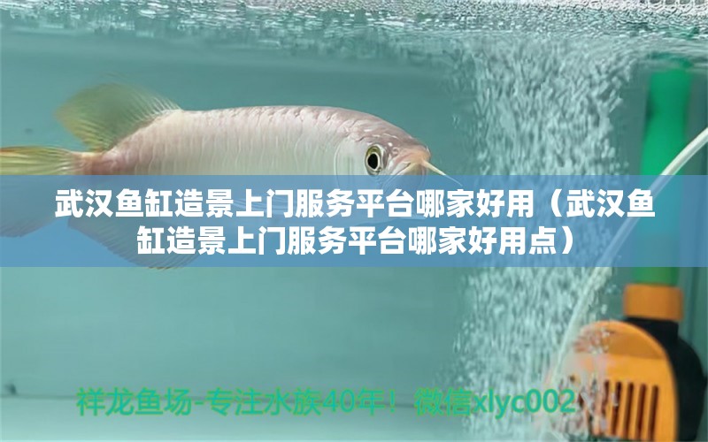 武漢魚缸造景上門服務(wù)平臺哪家好用（武漢魚缸造景上門服務(wù)平臺哪家好用點）