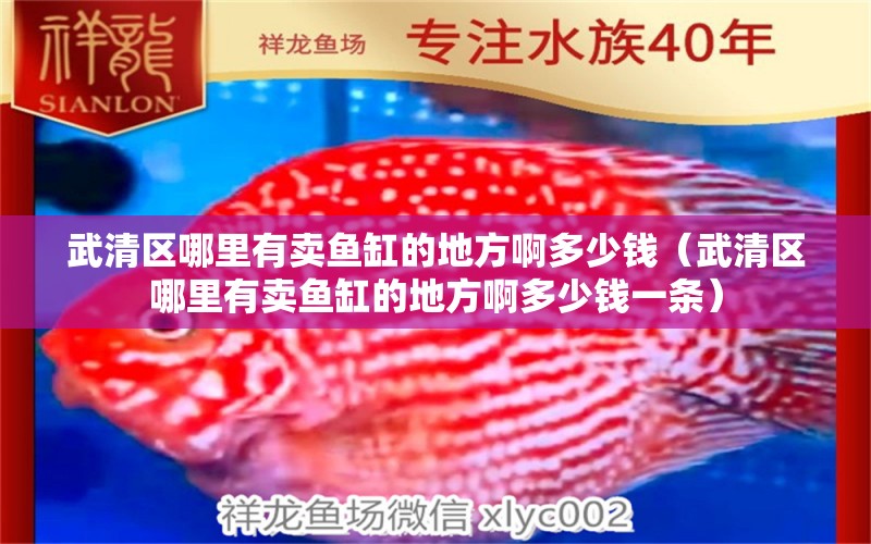 武清區(qū)哪里有賣魚缸的地方啊多少錢（武清區(qū)哪里有賣魚缸的地方啊多少錢一條） 量子養(yǎng)魚技術(shù)