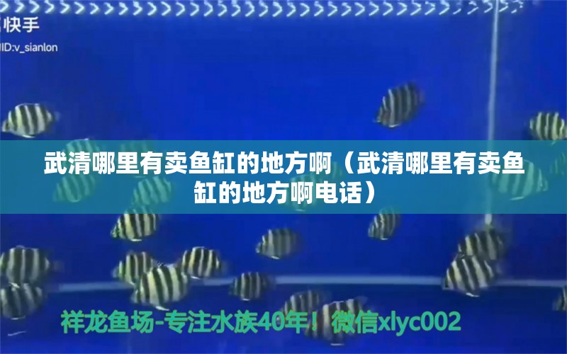 武清哪里有賣魚缸的地方?。ㄎ淝迥睦镉匈u魚缸的地方啊電話）