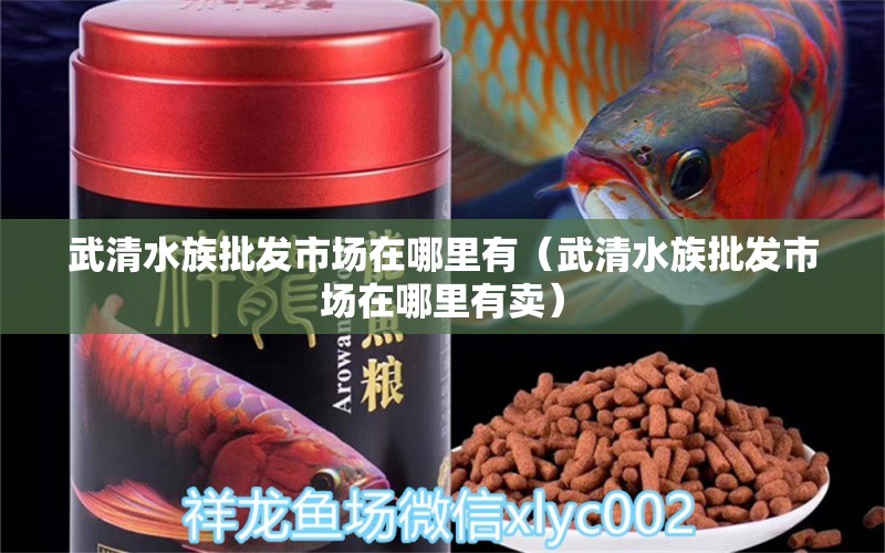 武清水族批發(fā)市場在哪里有（武清水族批發(fā)市場在哪里有賣） 海水魚