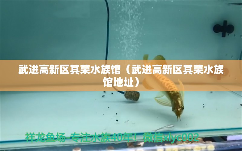 武進高新區(qū)其榮水族館（武進高新區(qū)其榮水族館地址） 全國水族館企業(yè)名錄