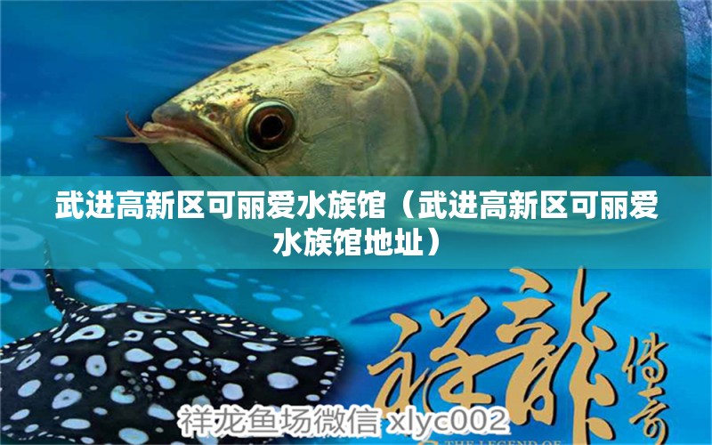 武進(jìn)高新區(qū)可麗愛水族館（武進(jìn)高新區(qū)可麗愛水族館地址）