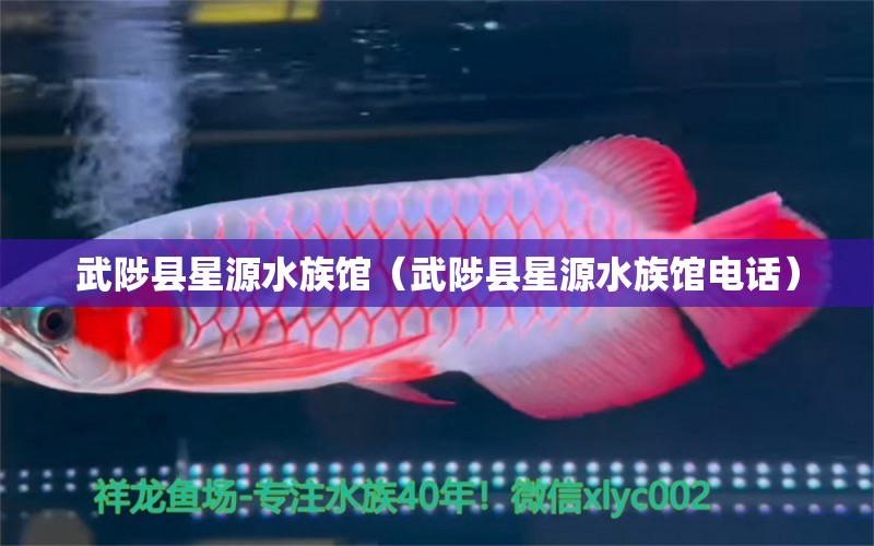 武陟縣星源水族館（武陟縣星源水族館電話）