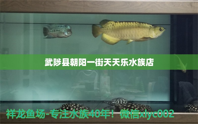 武陟縣朝陽一街天天樂水族店 全國水族館企業(yè)名錄