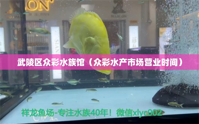 武陵區(qū)眾彩水族館（眾彩水產(chǎn)市場(chǎng)營(yíng)業(yè)時(shí)間）