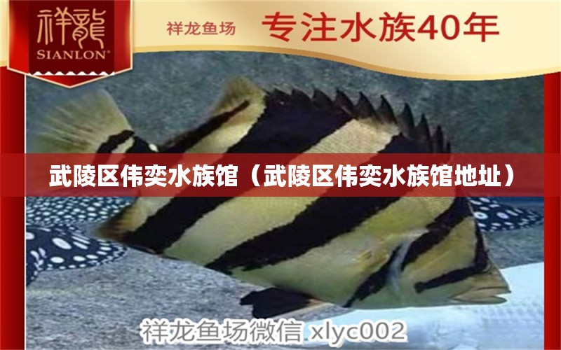 武陵區(qū)偉奕水族館（武陵區(qū)偉奕水族館地址）