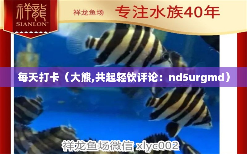 每天打卡（大熊,共起輕飲評論：nd5urgmd） 觀賞魚論壇 第2張