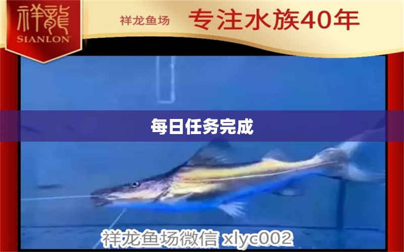 每日任務(wù)完成 觀賞魚(yú)論壇 第2張