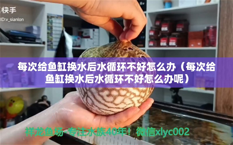 每次給魚缸換水后水循環(huán)不好怎么辦（每次給魚缸換水后水循環(huán)不好怎么辦呢） 觀賞魚市場（混養(yǎng)魚）