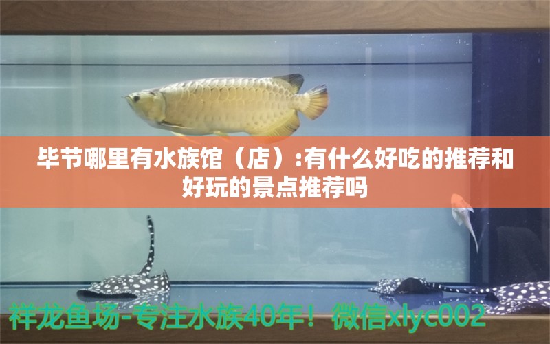 畢節(jié)哪里有水族館（店）:有什么好吃的推薦和好玩的景點(diǎn)推薦嗎