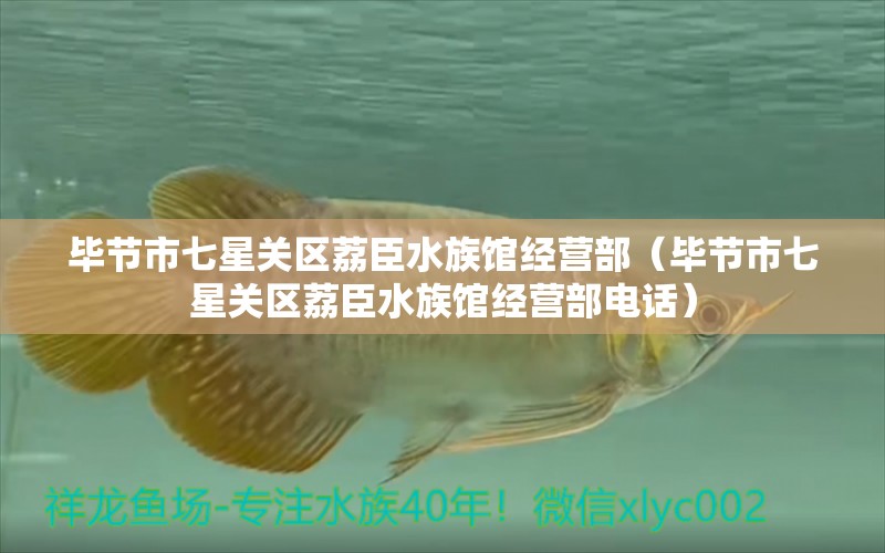 畢節(jié)市七星關區(qū)荔臣水族館經(jīng)營部（畢節(jié)市七星關區(qū)荔臣水族館經(jīng)營部電話）