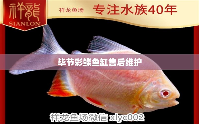 畢節(jié)彩鰈魚(yú)缸售后維護(hù)