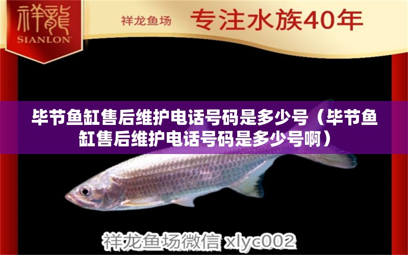 畢節(jié)魚(yú)缸售后維護(hù)電話號(hào)碼是多少號(hào)（畢節(jié)魚(yú)缸售后維護(hù)電話號(hào)碼是多少號(hào)?。? title=