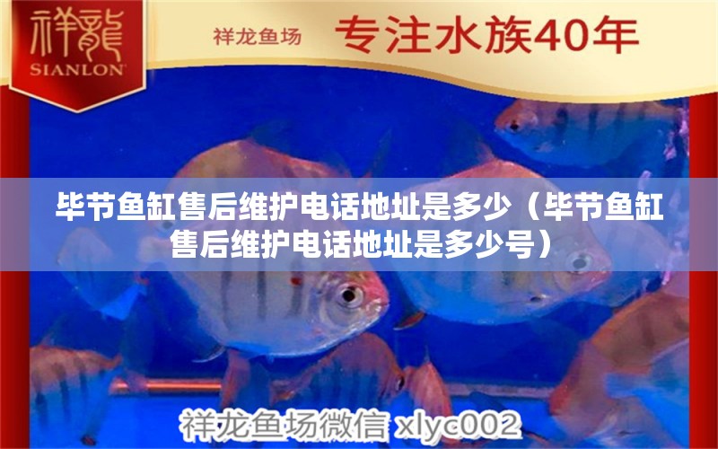 畢節(jié)魚(yú)缸售后維護(hù)電話地址是多少（畢節(jié)魚(yú)缸售后維護(hù)電話地址是多少號(hào)）