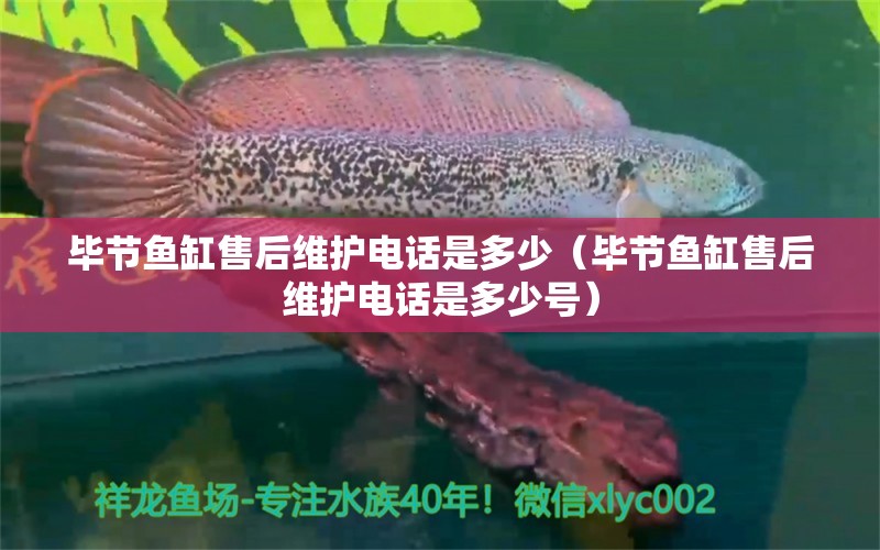 畢節(jié)魚(yú)缸售后維護(hù)電話是多少（畢節(jié)魚(yú)缸售后維護(hù)電話是多少號(hào)） 其他品牌魚(yú)缸