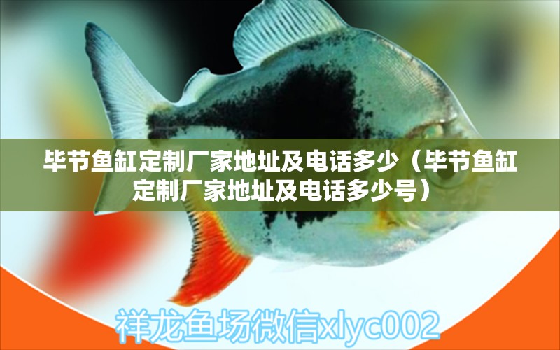 畢節(jié)魚缸定制廠家地址及電話多少（畢節(jié)魚缸定制廠家地址及電話多少號）