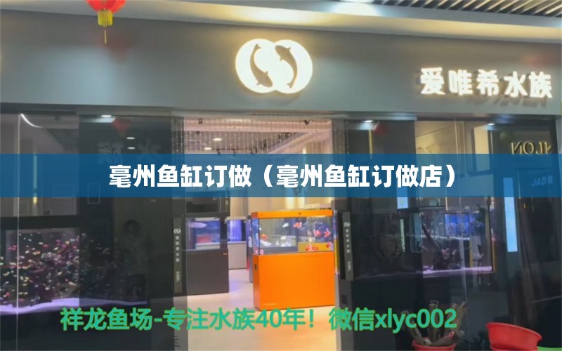 毫州魚缸訂做（毫州魚缸訂做店）