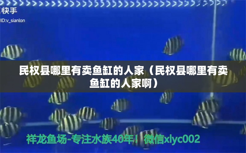 民權(quán)縣哪里有賣魚缸的人家（民權(quán)縣哪里有賣魚缸的人家?。? title=