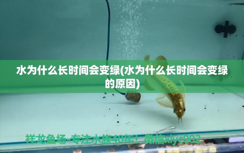 水為什么長時間會變綠(水為什么長時間會變綠的原因)