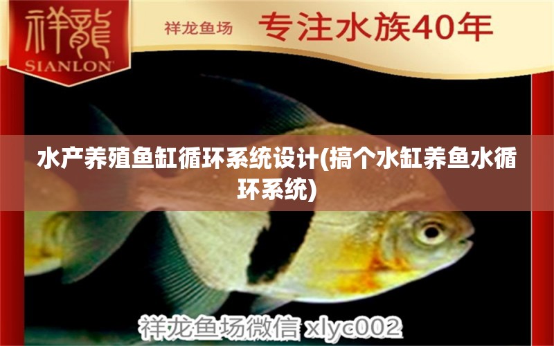 水產養(yǎng)殖魚缸循環(huán)系統(tǒng)設計(搞個水缸養(yǎng)魚水循環(huán)系統(tǒng)) 粗線銀版魚苗