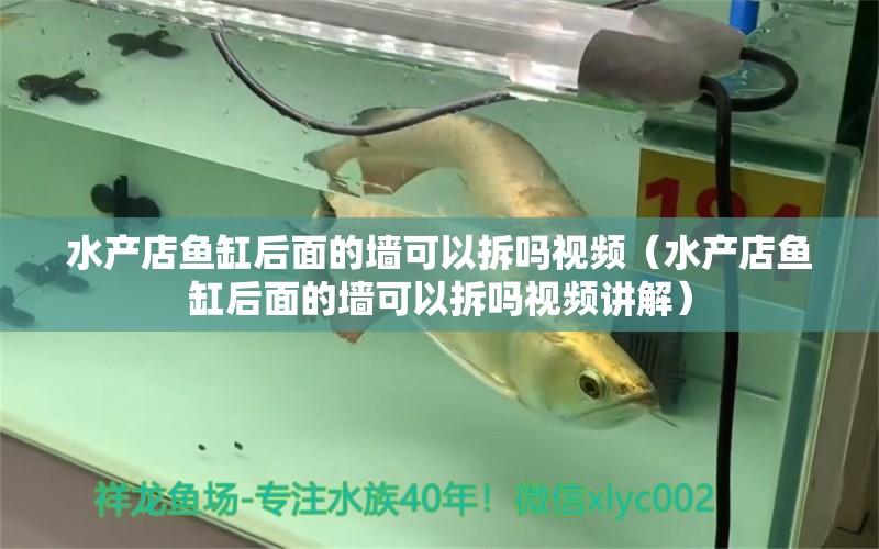 水產(chǎn)店魚缸后面的墻可以拆嗎視頻（水產(chǎn)店魚缸后面的墻可以拆嗎視頻講解）