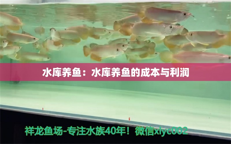 水庫養(yǎng)魚：水庫養(yǎng)魚的成本與利潤