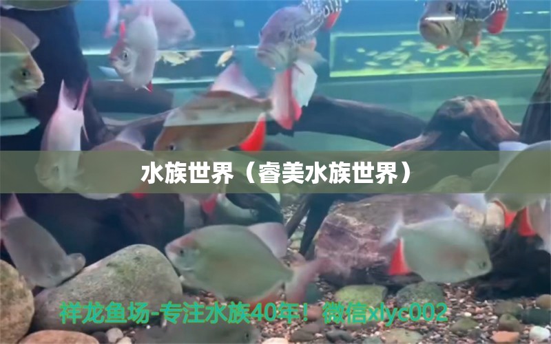 水族世界（睿美水族世界） 全國(guó)水族館企業(yè)名錄