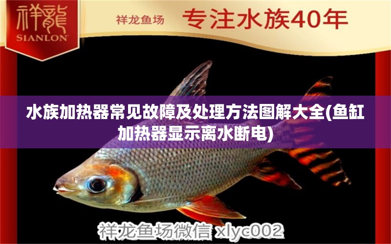 水族加熱器常見故障及處理方法圖解大全(魚缸加熱器顯示離水?dāng)嚯? 純血皇冠黑白魟魚