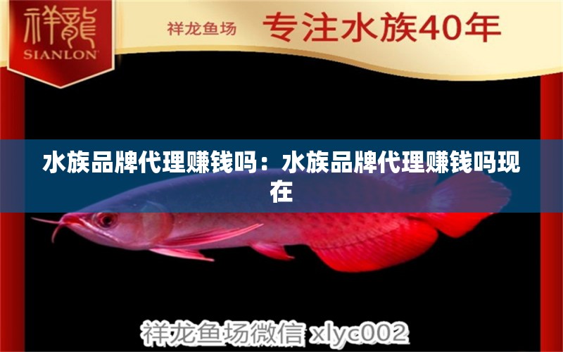 水族品牌代理賺錢嗎：水族品牌代理賺錢嗎現(xiàn)在