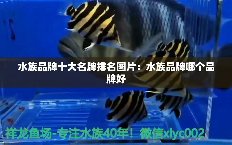 水族品牌十大名牌排名圖片：水族品牌哪個品牌好