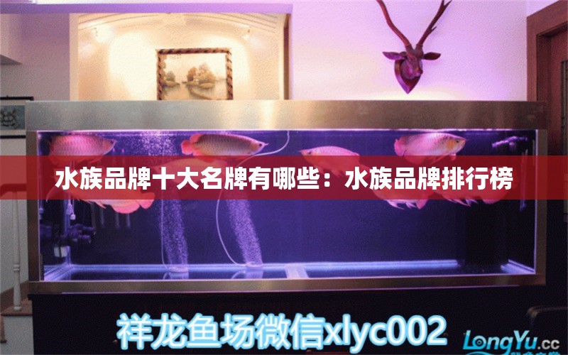 水族品牌十大名牌有哪些：水族品牌排行榜