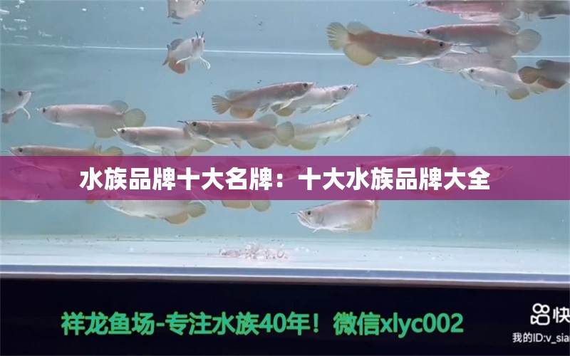 水族品牌十大名牌：十大水族品牌大全